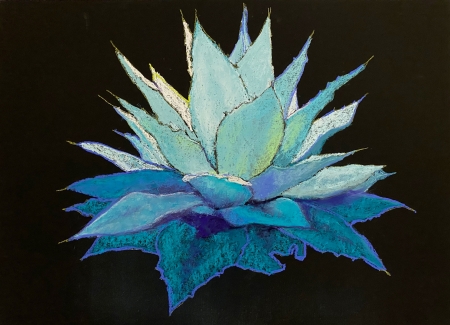 Agave in Blue by artist Lillian Buchanan